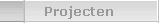 Projecten